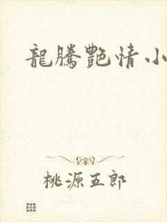 龙腾艳情小说