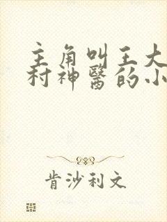 主角叫王大春乡村神医的小说
