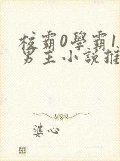 校霸0学霸1双男主小说推荐