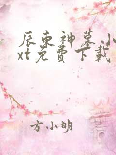 辰东神墓小说txt免费下载