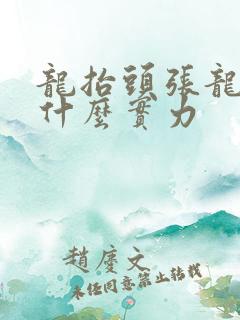 龙抬头张龙最后什么实力