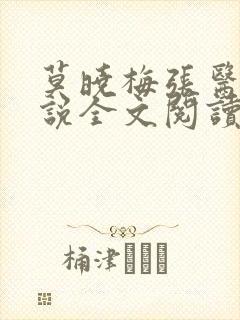 莫晓梅张医生小说全文阅读