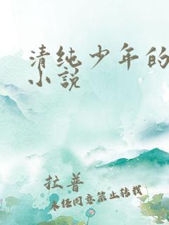 清纯少年的日常小说