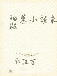 神墓小说未删减版