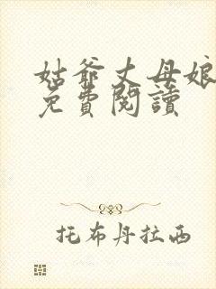 姑爷丈母娘小说免费阅读