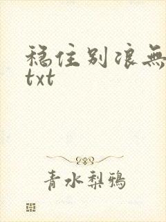 稳住别浪无删减txt