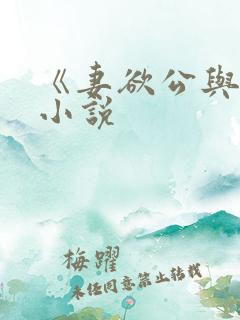 《妻欲公与媳》小说