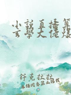 小说直播算命:玄学大佬爆红全网txt