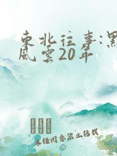 东北往事:黑道风云20年