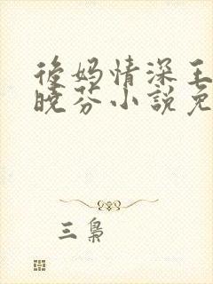 后妈情深王磊杨晓芬小说免费