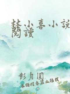 林小喜小说免费阅读