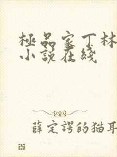 极品家丁林晚荣小说在线