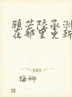 顾芒陆承洲小说在那里更新