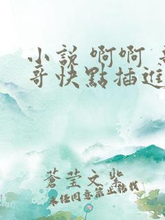 小说 啊啊 哥哥快点插进去 我还想要