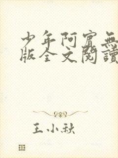 少年阿宾无删减版全文阅读