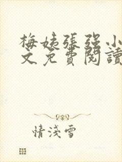 梅姨张强小说全文免费阅读