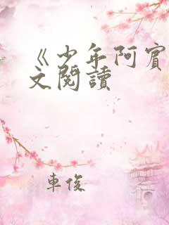 《少年阿宾》全文阅读