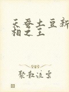 天蚕土豆新作万相之王