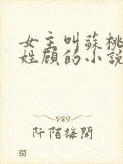 女主叫苏桃男主姓顾的小说