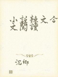 小说辣文合集全文阅读