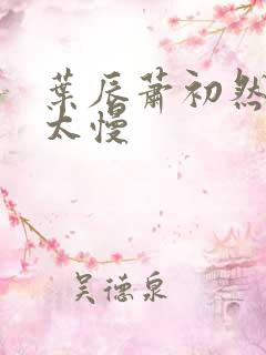 叶辰萧初然更新太慢