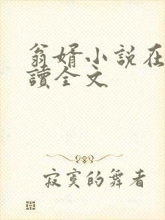 翁婿小说在线阅读全文