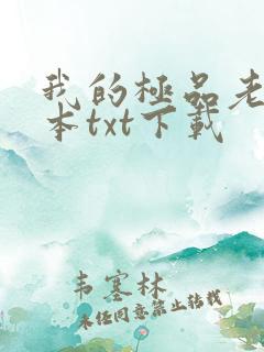 我的极品老婆全本txt下载