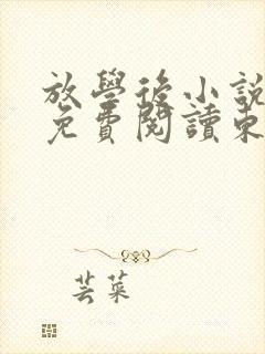 放学后小说全文免费阅读东野圭吾
