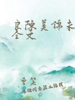 良陈美锦未删减全文