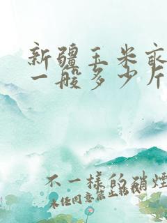 新疆玉米亩产量一般多少斤左右