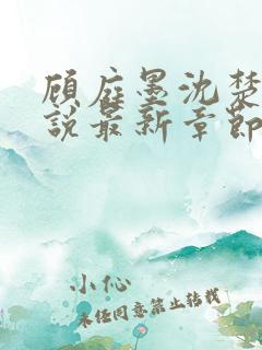 顾庭墨沈楚意小说最新章节免费阅读
