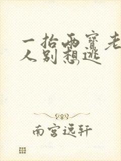 一抬两宝老婆大人别想逃