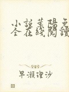 小说叶阳免费大全在线阅读