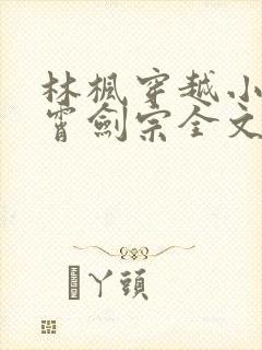 林枫穿越小说神霄剑宗全文阅读578
