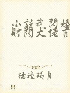 小说我闪婚了个财阀大佬有免费的吗