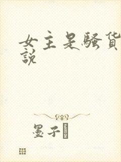 女主是骚货的小说