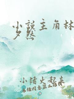小说主角林辰苏夕然