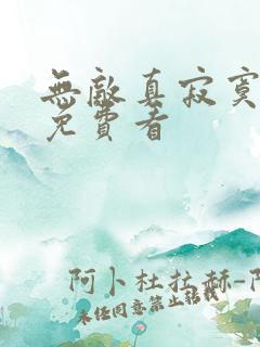 无敌真寂寞小说免费看
