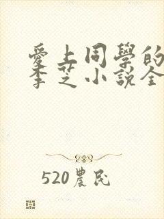 爱上同学的妈妈李芝小说全文阅读下