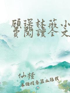 顾琛林薇小说免费阅读全文无弹窗