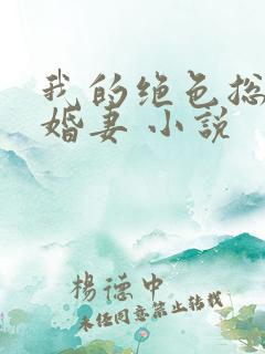 我的绝色总裁未婚妻 小说