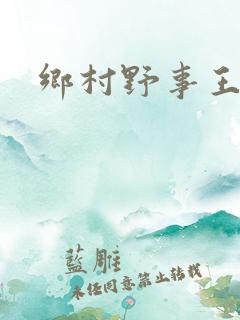 乡村野事王小二