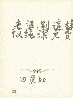 老婆,别这样貌似纯洁免费完整版全文阅读