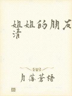 姐姐的朋友 高清