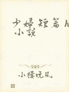 少妇 短篇 h 小说