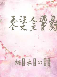 再没人遇见小说全文免费阅读