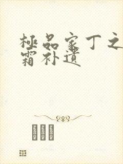 极品家丁之萧玉霜补遗