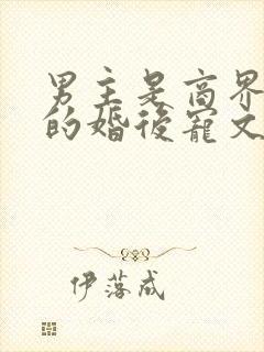 男主是商界大佬的婚后宠文