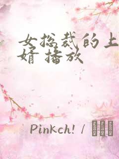 女总裁的上门女婿 播放