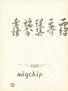 幸福从天而降剧情分集介绍